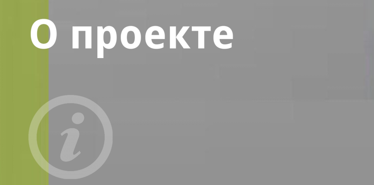 О проекте